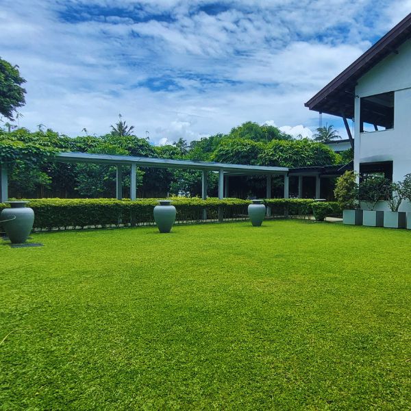 Tropical garden at Garden Beach Hotel Kalutara