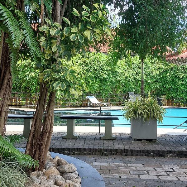 Poolside sun loungers at Garden Beach Hotel